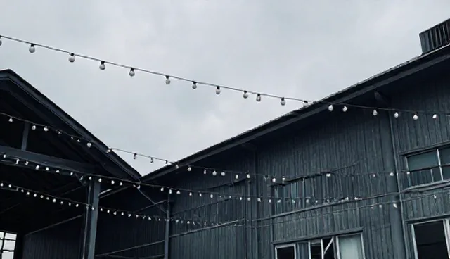 常德网站建设:行业动态下的信息管理新趋势